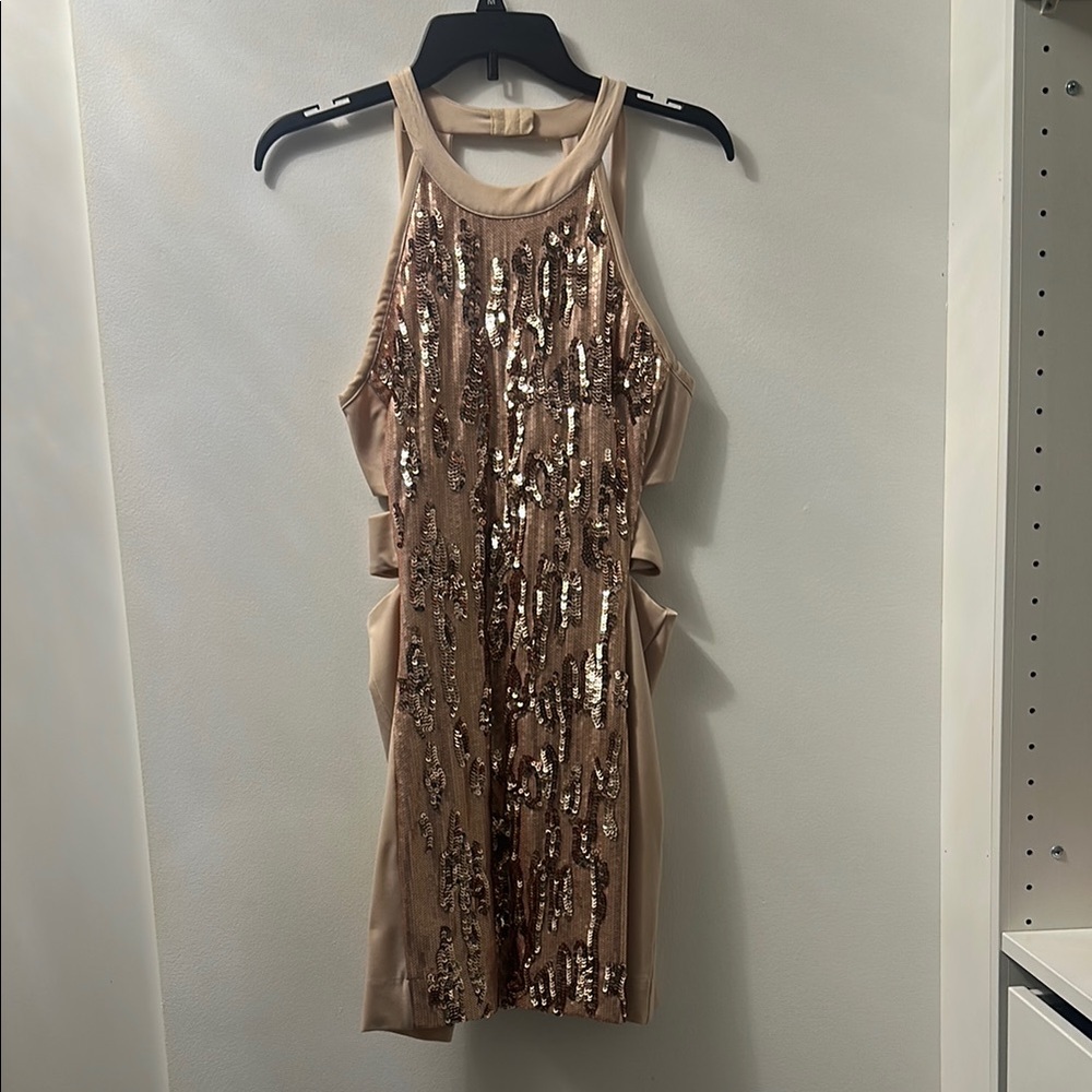 Sequin Embellished Rose Gold Dress